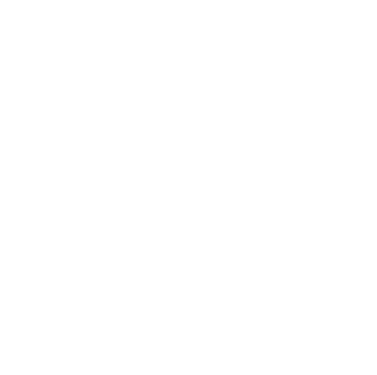 the vt logo